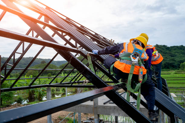 Best Roof Repair Services  in Douglas, MI