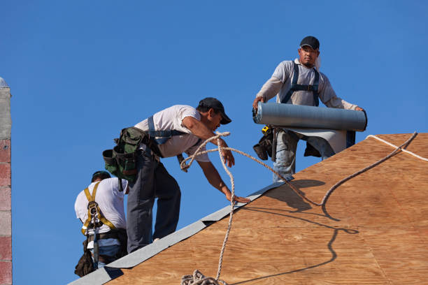 Best Commercial Roofing Services  in Douglas, MI