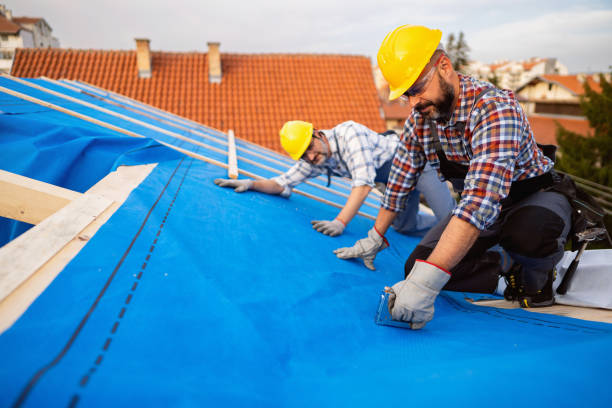 Best Roof Maintenance Services  in Douglas, MI