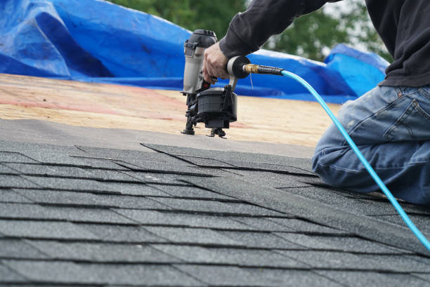 Best Shingle Roofing Installation  in Douglas, MI