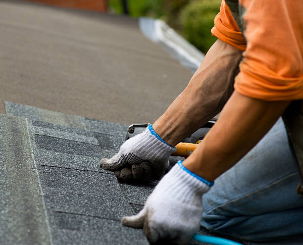 Best Local Roofing Companies  in Douglas, MI