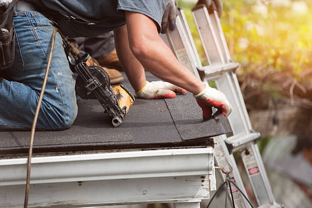 Best Roof Leak Repair  in Douglas, MI