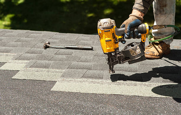 Best Roof Gutter Cleaning  in Douglas, MI